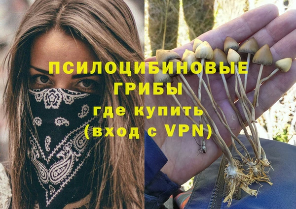 Альфа ПВП Нефтекумск
