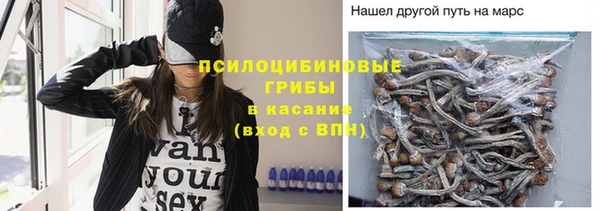 шишки Навашино