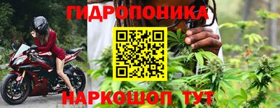 бошки Донецк