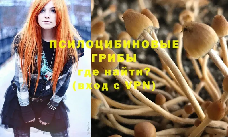 Галлюциногенные грибы Magic Shrooms  Печора 