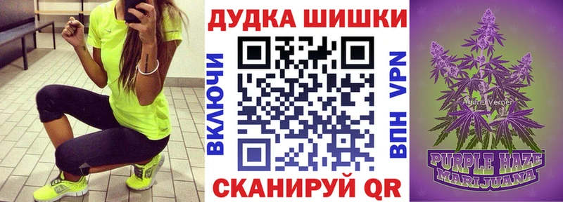 где купить наркоту  Печора  Бошки марихуана White Widow 
